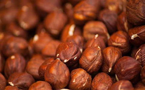 خرید و قیمت مغز فندق درشت + فروش عمده
